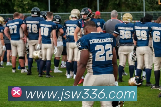 平台使命图